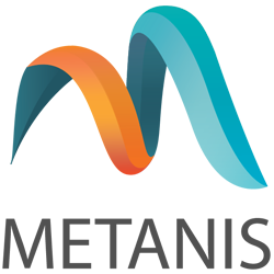 Metanis Consulting